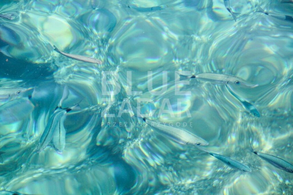 bluezadar-chorwacja-croatia-zadar-kornati-rejs-wycieczka-excursion-trip (134)